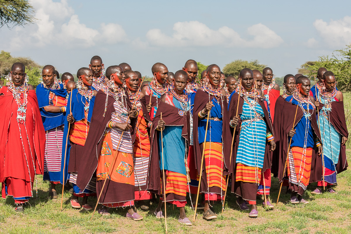 As shown by the predominant colors worn, this group of supporters is from a different manyatta than the ones in Images 0001-0003.